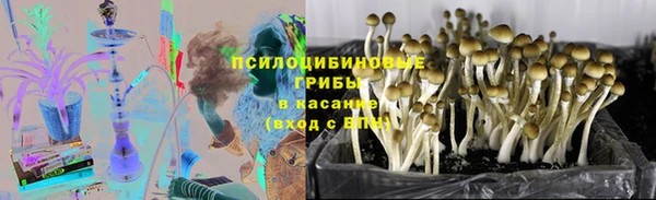 соль курить ск Арсеньев