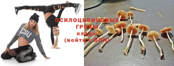 соль курить ск Арсеньев