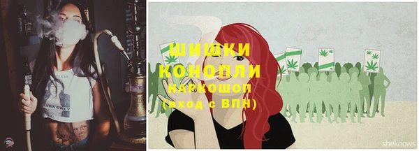 стаф Липки