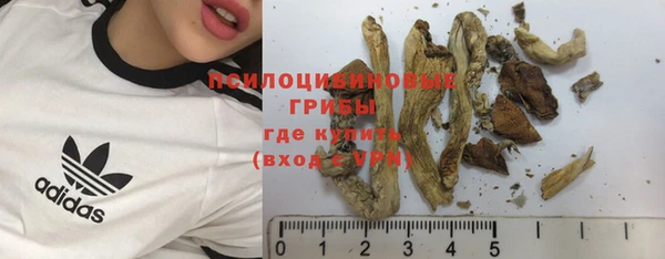 эйфоретик Аркадак
