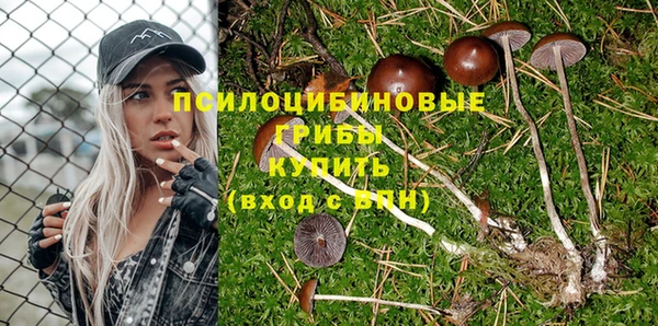 эйфоретик Аркадак