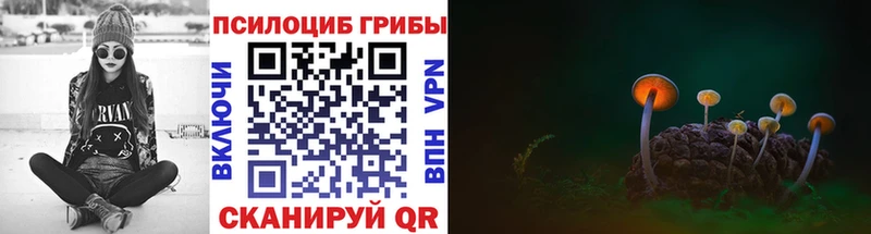 гидра ТОР  нарко площадка клад  Галлюциногенные грибы мицелий  Ульяновск 