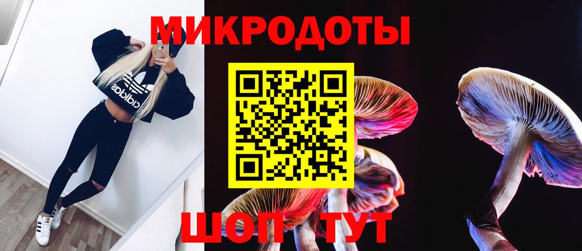 Ульяновск  Галлюциногенные грибы Psilocybe  Вход с VPN 